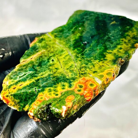 Rare Ocean Jasper Orbicular Old Stock Madagascar Slab Slice Stone Cabbing Rough